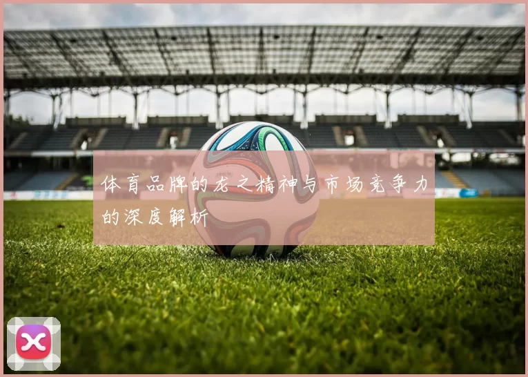 体育品牌的龙之精神与市场竞争力的深度解析