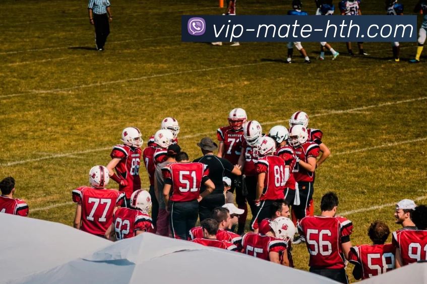 华体会服务体系